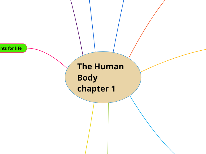The Human Body chapter 1 