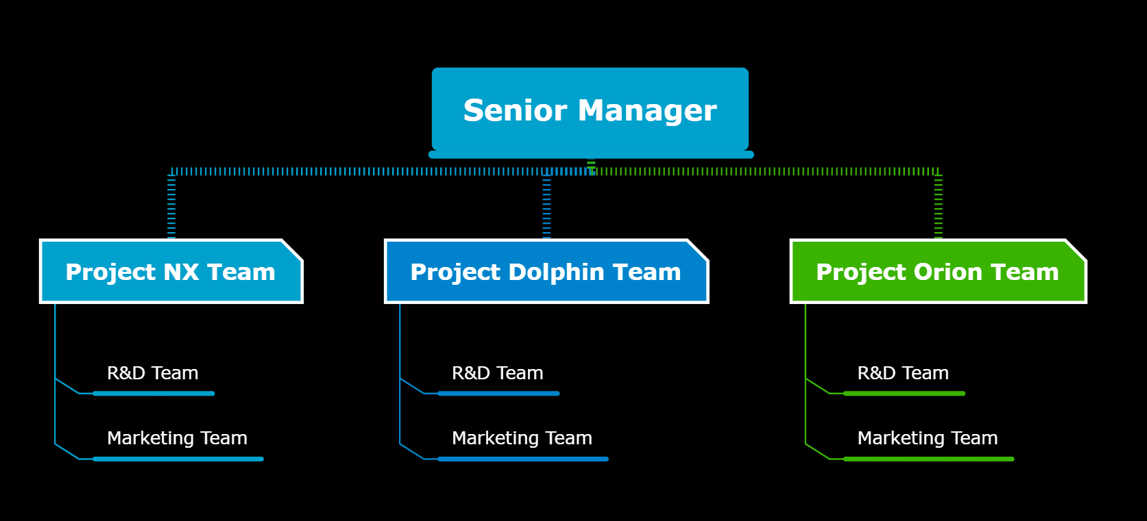 Senior Manager - organizational chart example (organigram)