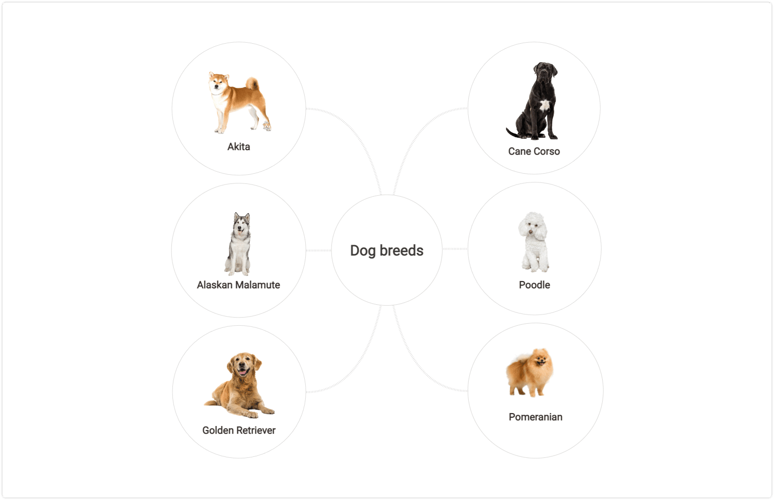 dog breeds bubble maps