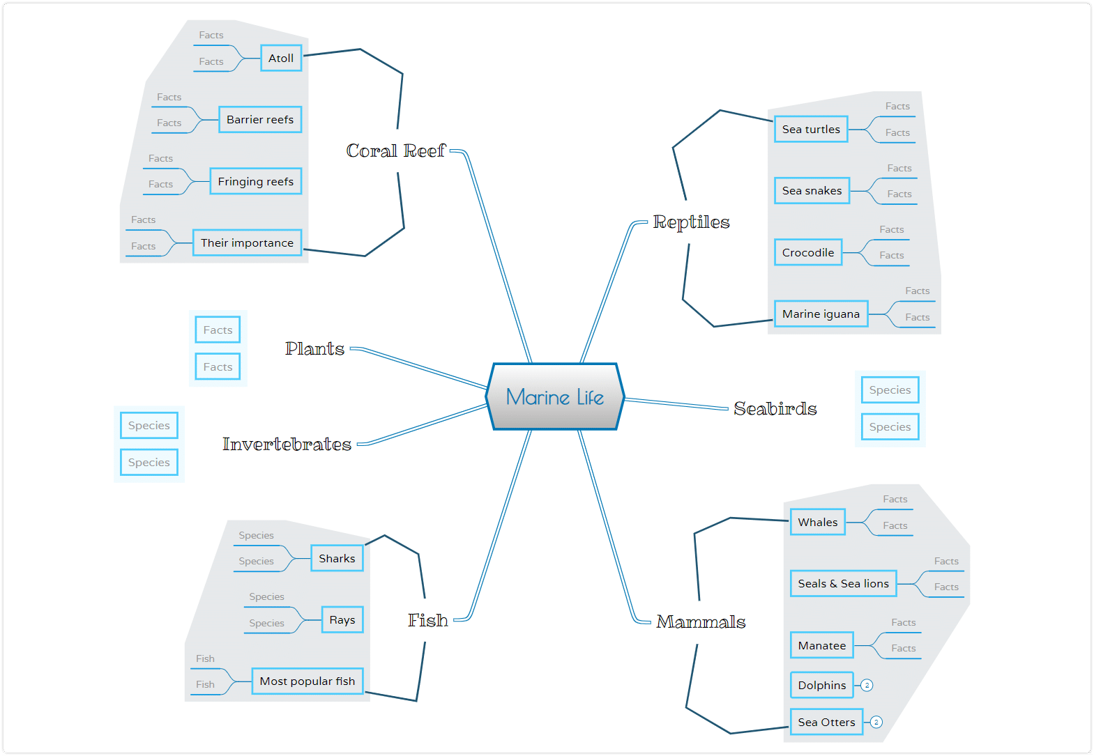 prepare for an exam using a mind map