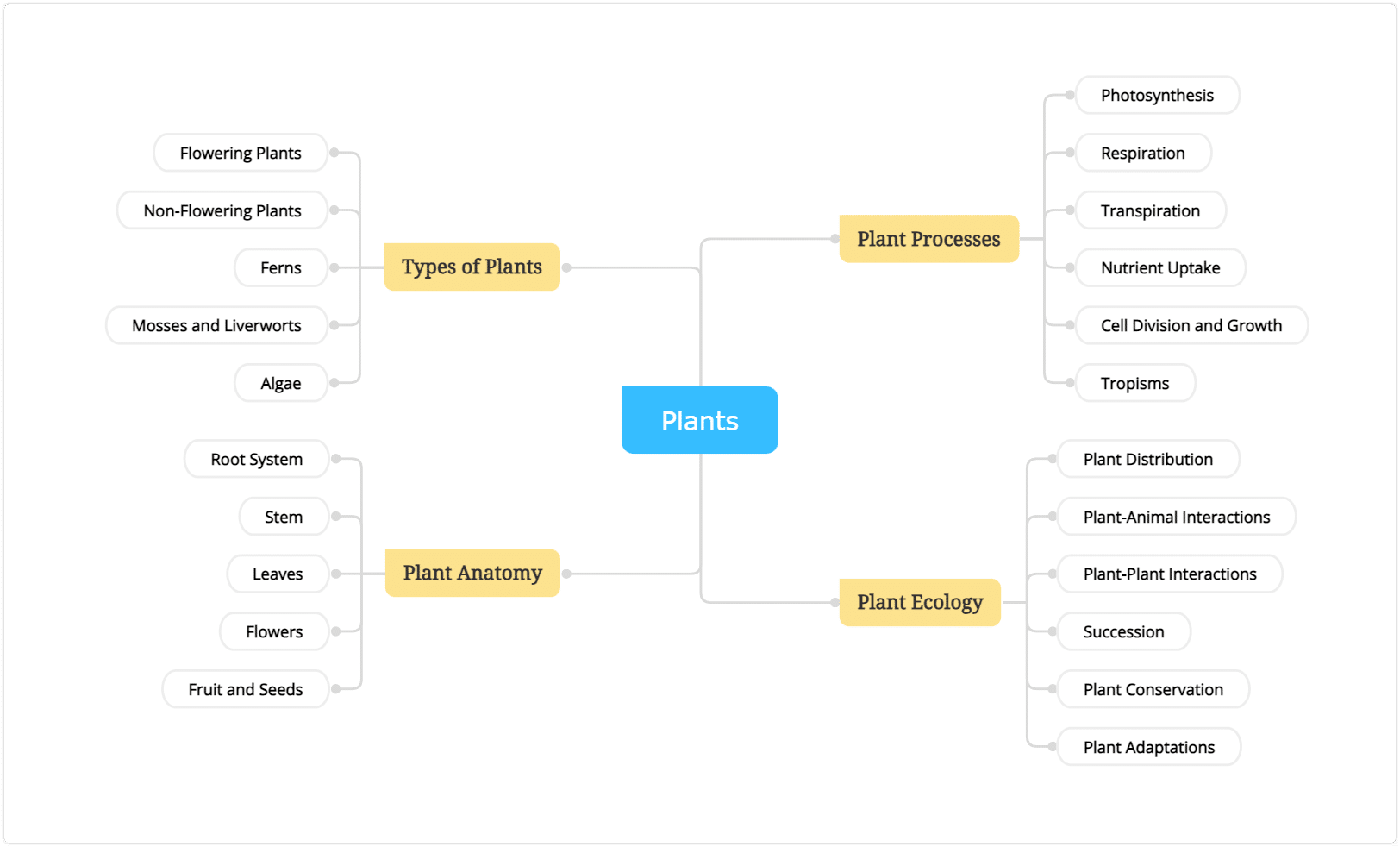 plan mind map example