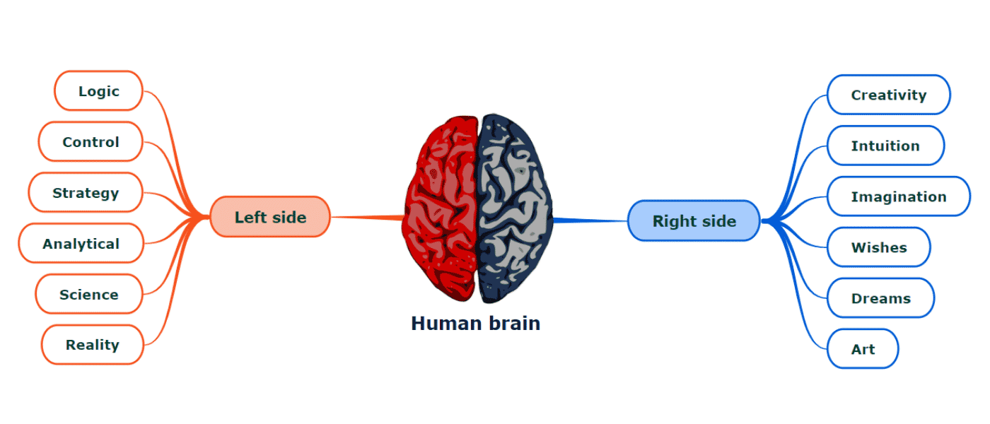Two sides of your brain - Mind map