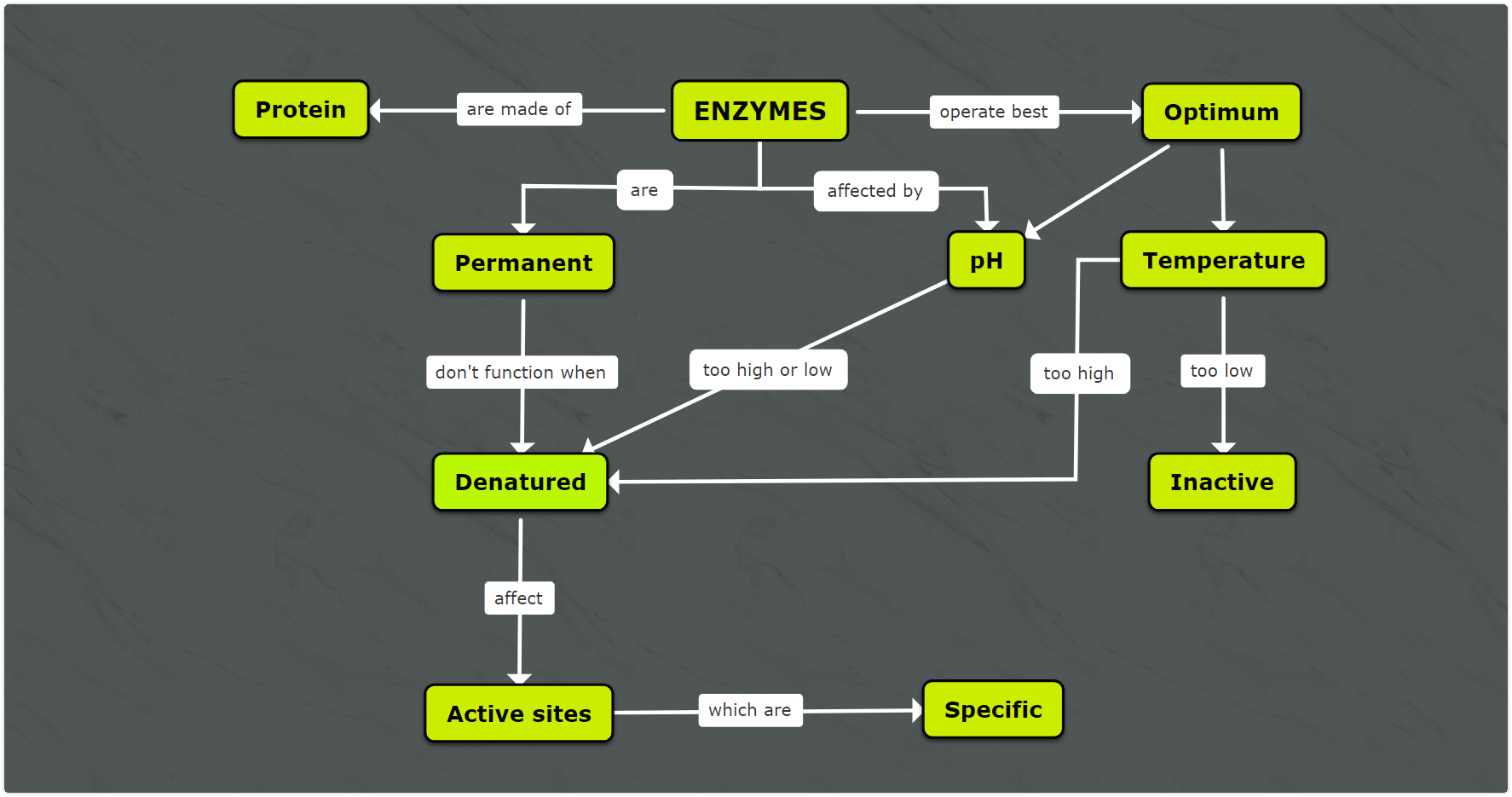 Enzymes concept mind map