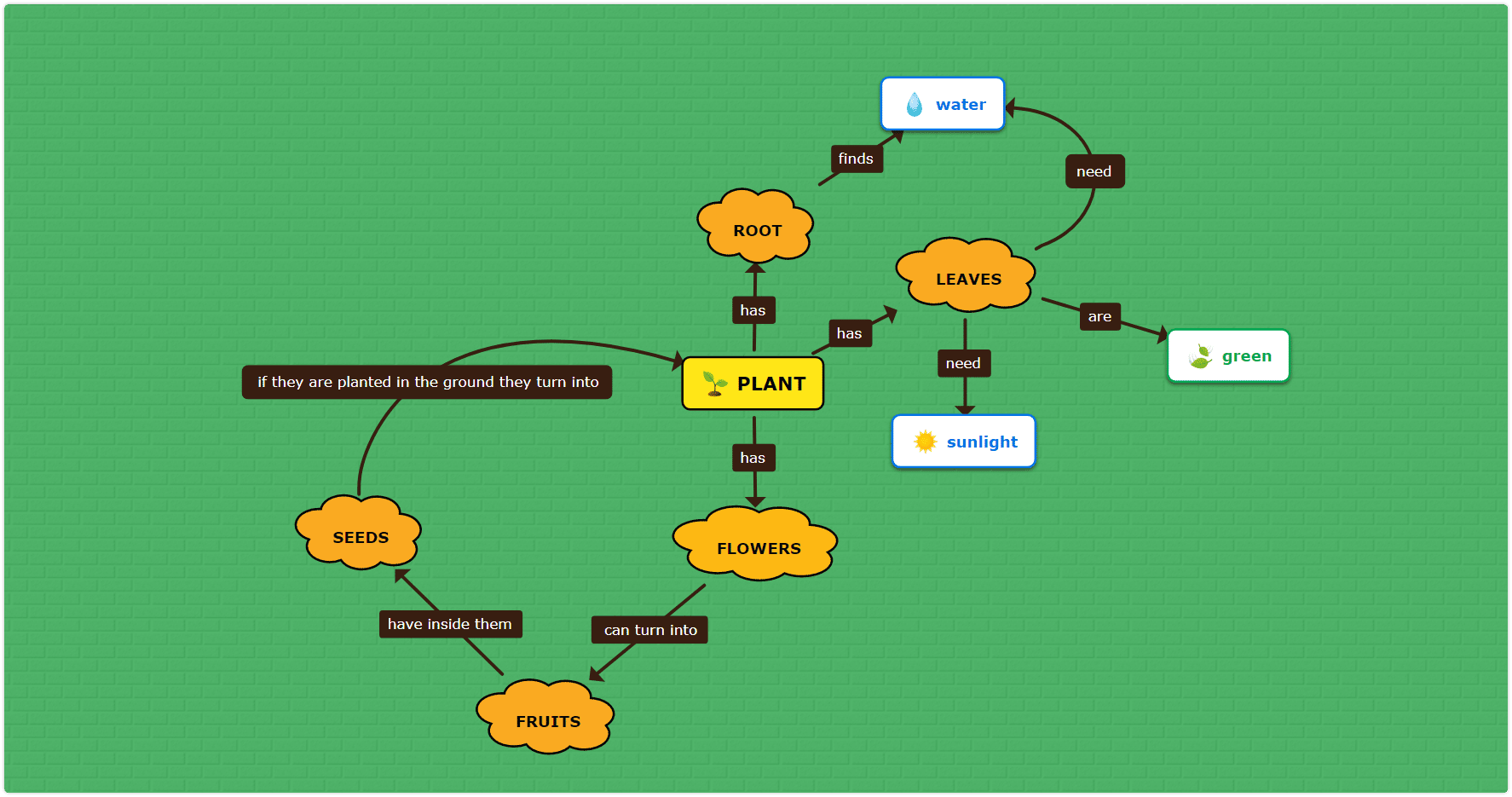 Plant Concept Map Template