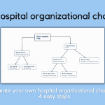 Hospital organizational chart