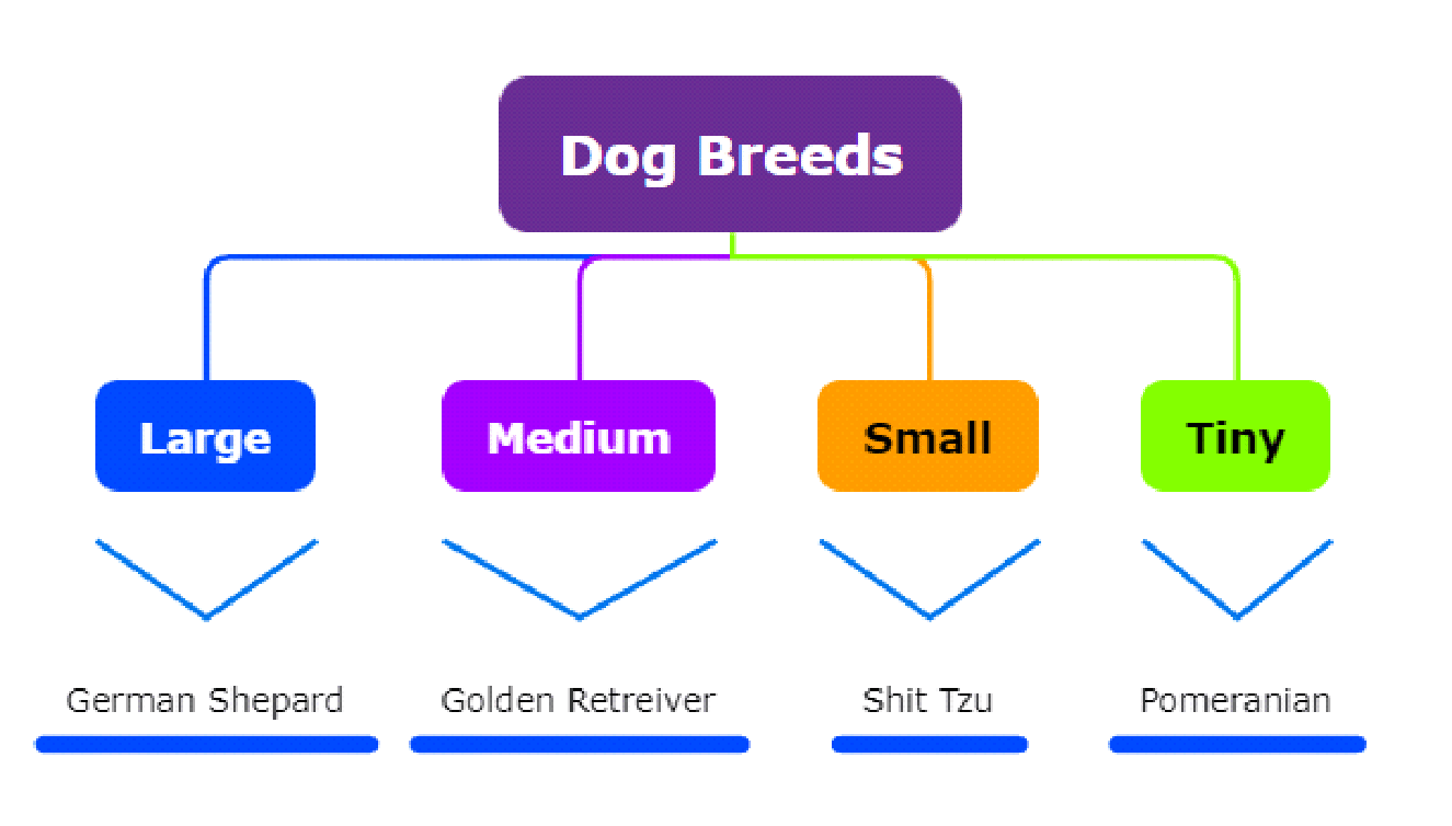 Hierarchal  map