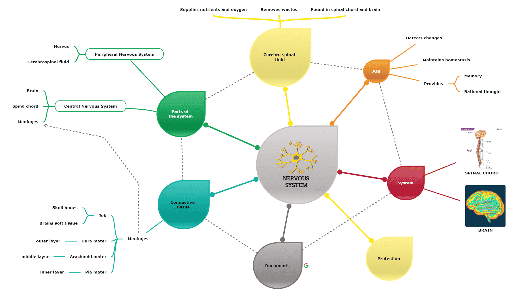 Hierarchical mind map example
