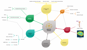 What is Visual Learning? Techniques and Examples