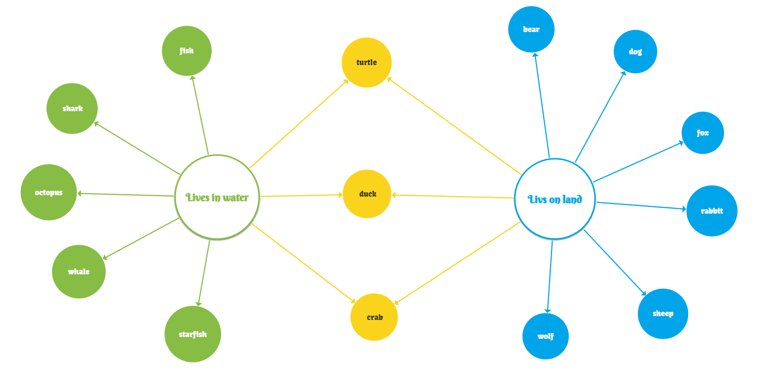 double bubble map - thinking map