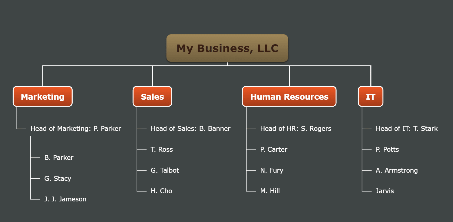 my business organigram example