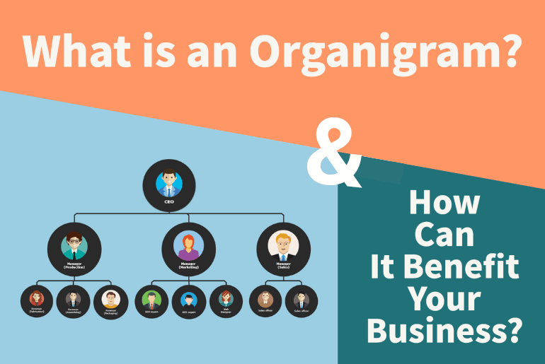 organigram