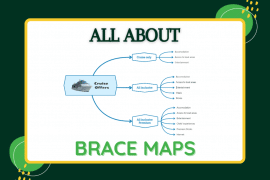 Brace map