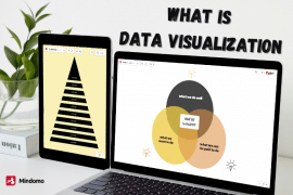 What is data visualization