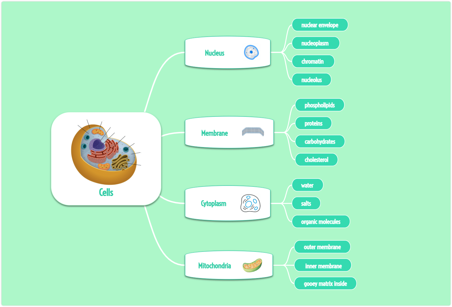 mind maps containing visual elements