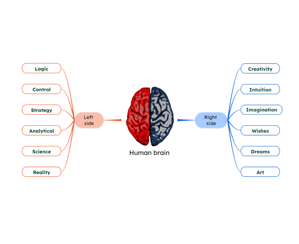 What is a mind map? Tips, examples, and templates