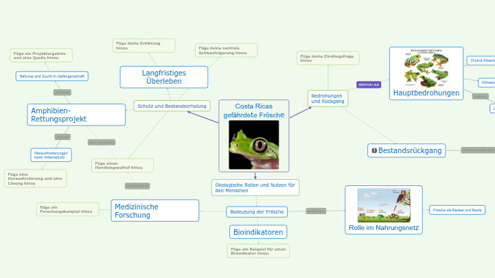 Concept Map zu gefährdeten Fröschen