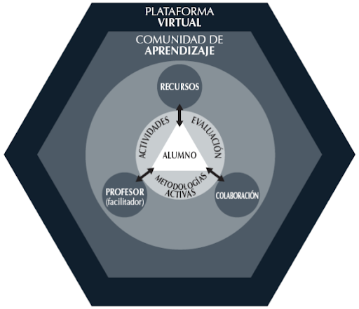 Características del Docente en EVA - Mind Map