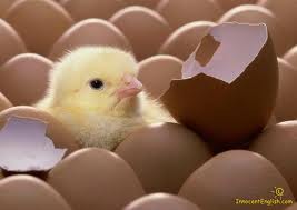 "Don't count your chickens before they hatch."

Your plans might not work out, so don't start thinking about what you'll do a