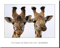 "Two heads are better than one."

When two people cooperate with each other, they come up with better ideas.