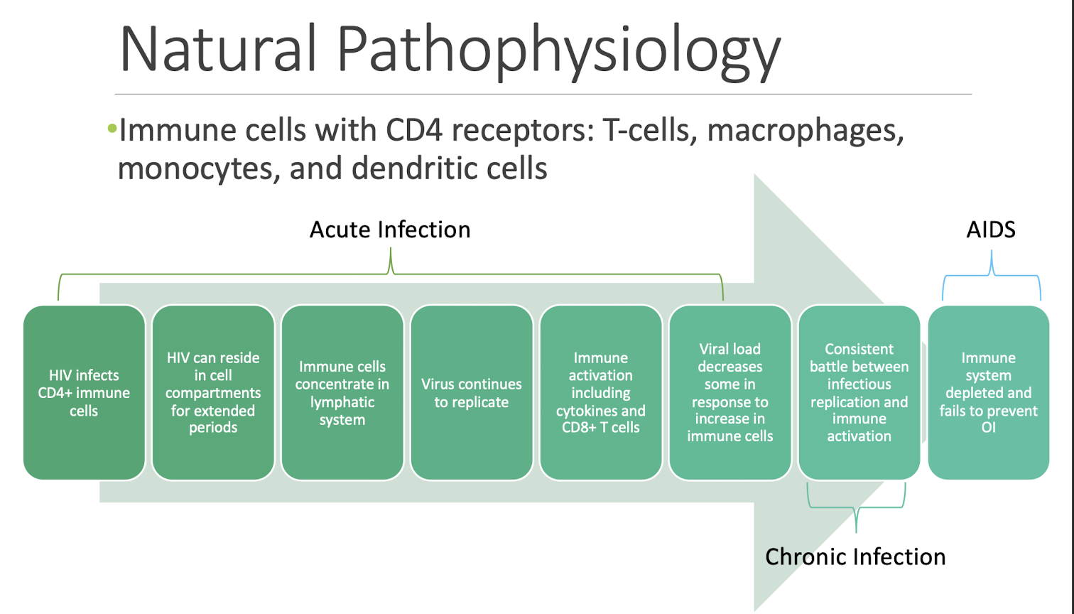 HUMAN IMMUNODEFICIENCY VIRUS (HIV) - Mind Map