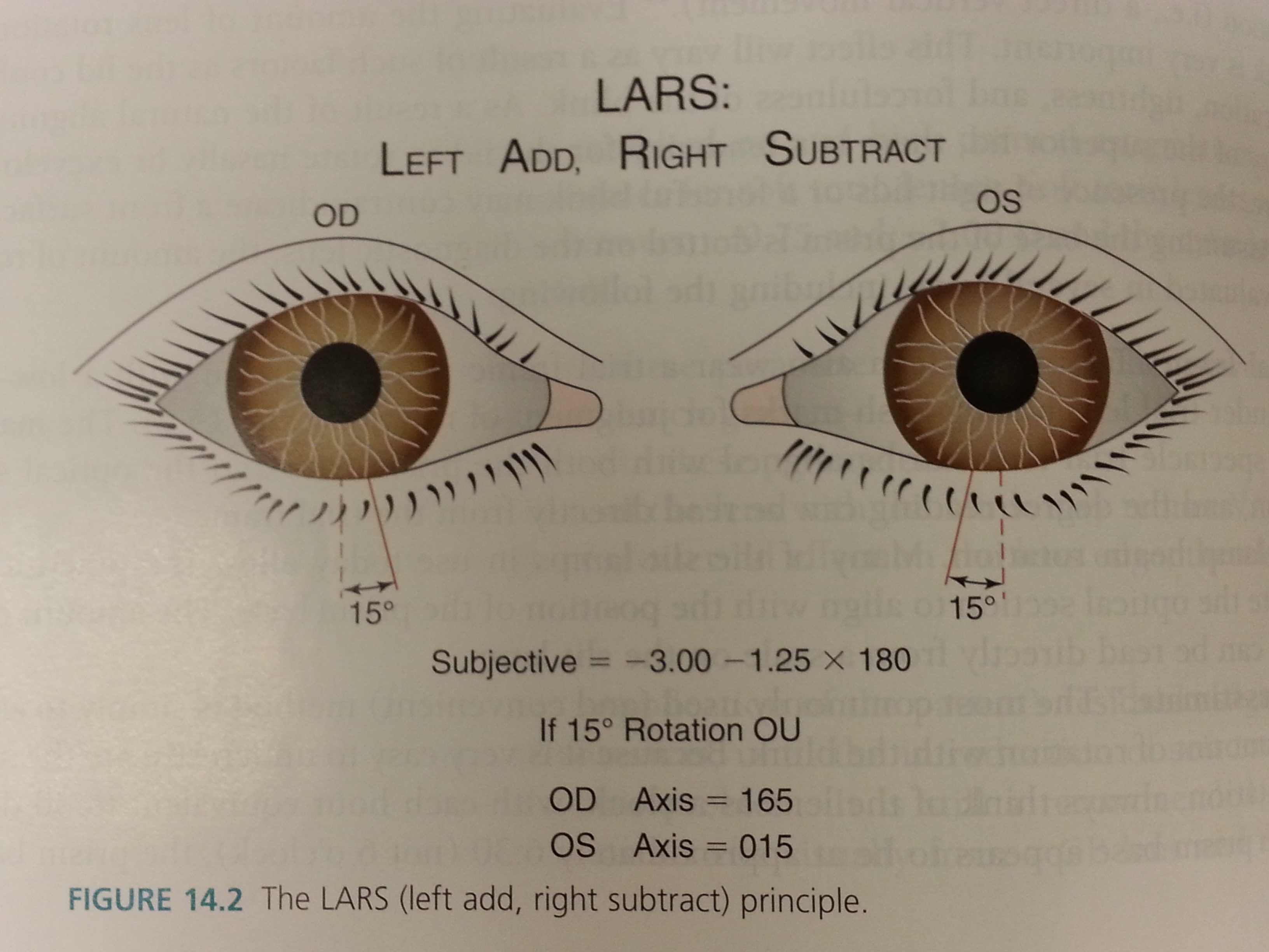 Selecting BC, D, sph or astig Rx for SCL f... Mind Map