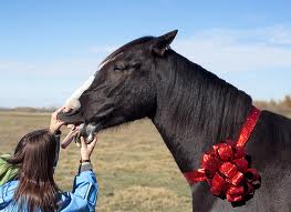 "Never look a gift horse in the mouth."

If someone offers you a gift, don't question it.