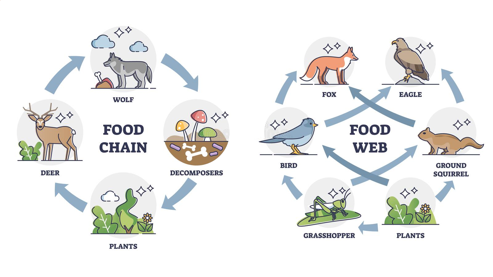 interactions-within-ecosystems-mind-map