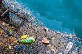 Deforestation in the Amazon rainforest, driven by global demand for timber and agricultural products, showcases the environme