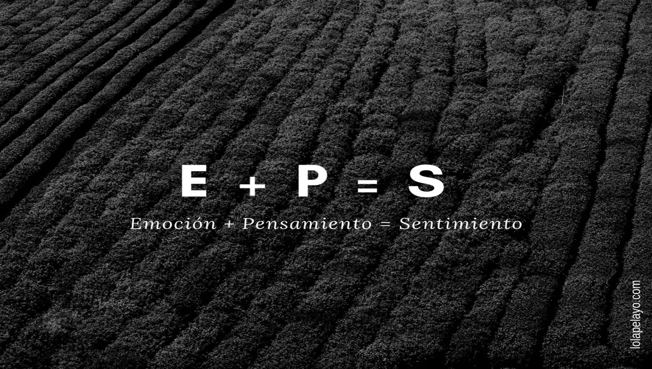 El pensamiento, en forma de creencias, es la causa de la cronificación de las emociones