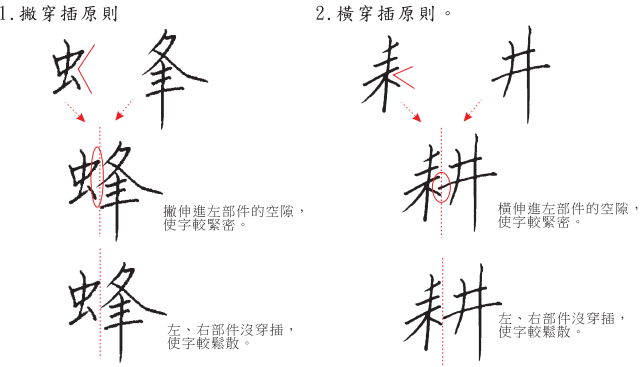 分支主題