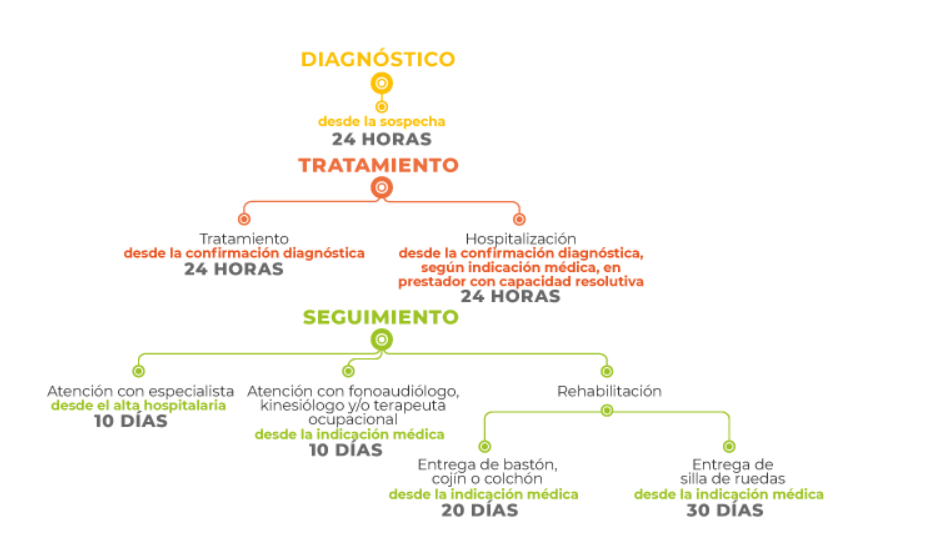 Personas >15 años con sospecha o confirmación DX de ACV isquémico. 

El GES incluye medicamentos, ayudas técnicas, exámenes. 