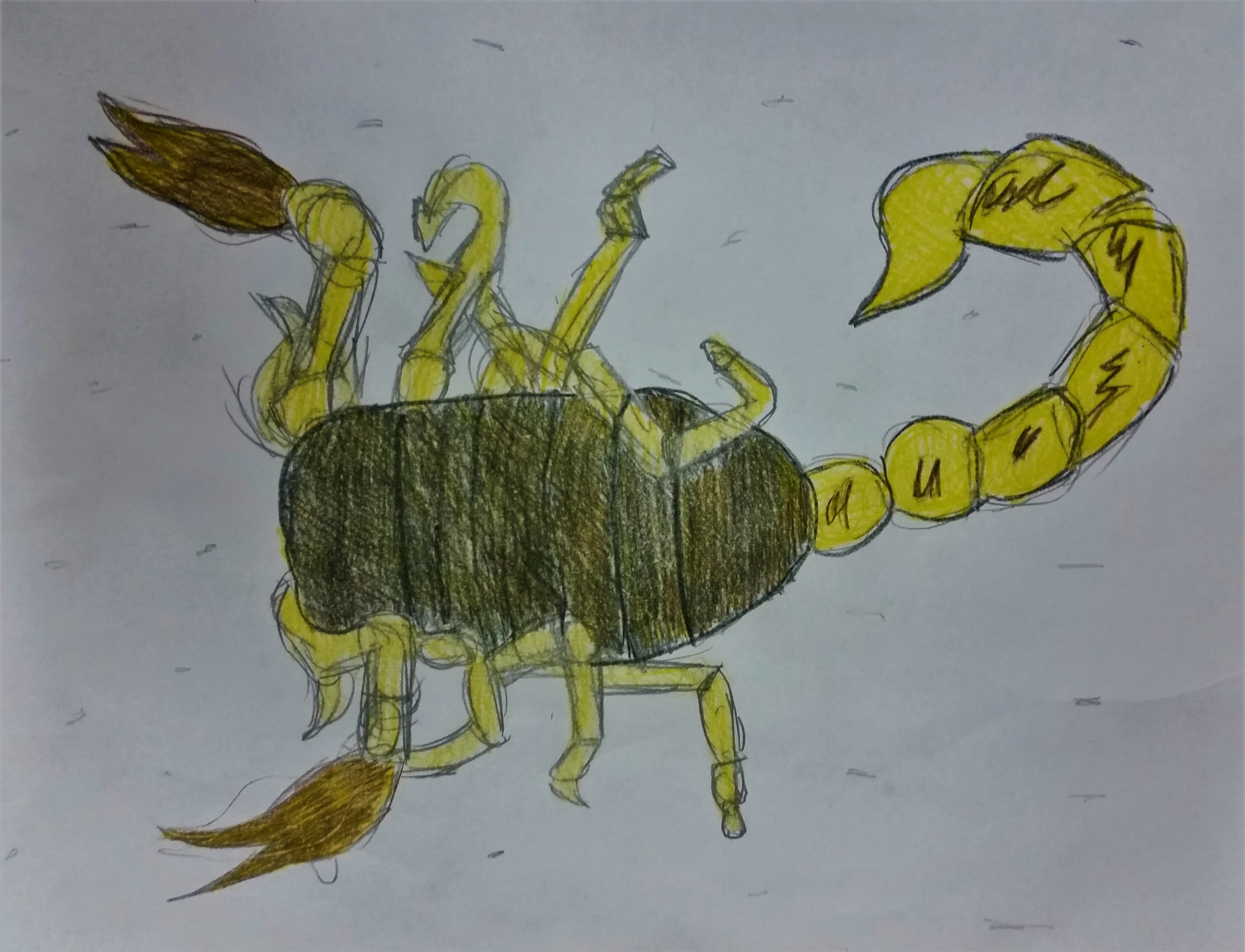 SCORPIONE
