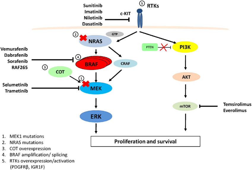 Post-translational modifications and how they develop into cancers