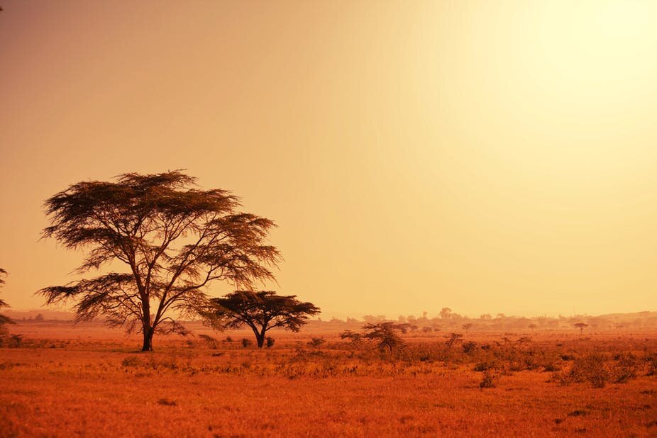 Savannas