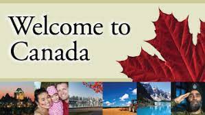 Newcomer services