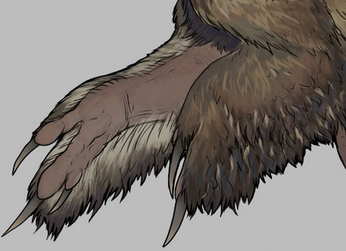Utahraptor ostrommaysi