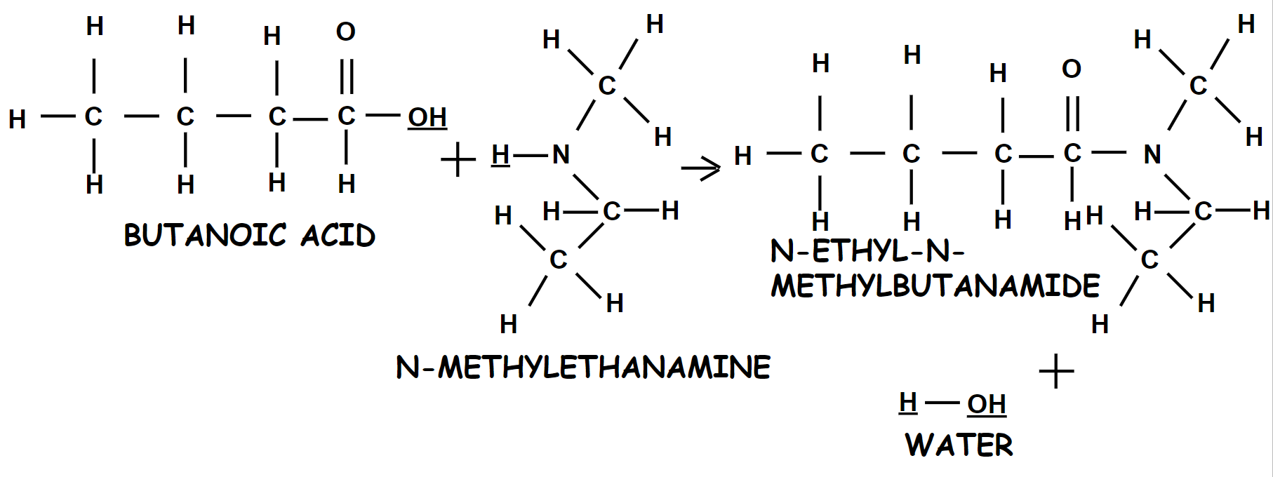 Butanoic Acid + N-methylethanamine --> N-ethyl-N-methylbutanamide + water
