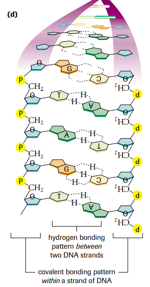 Example