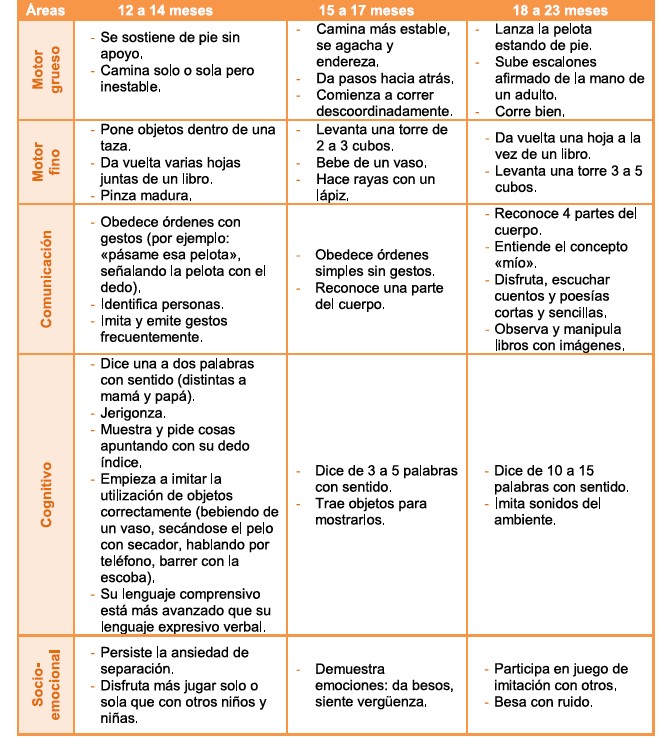 Control 12 y 18 meses (médico o enfermero/a)

- Evaluar hábitos (alimentación, sueño)
- Prevenir enfermedades y accidentes
- 