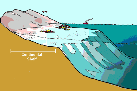 The continental shelf