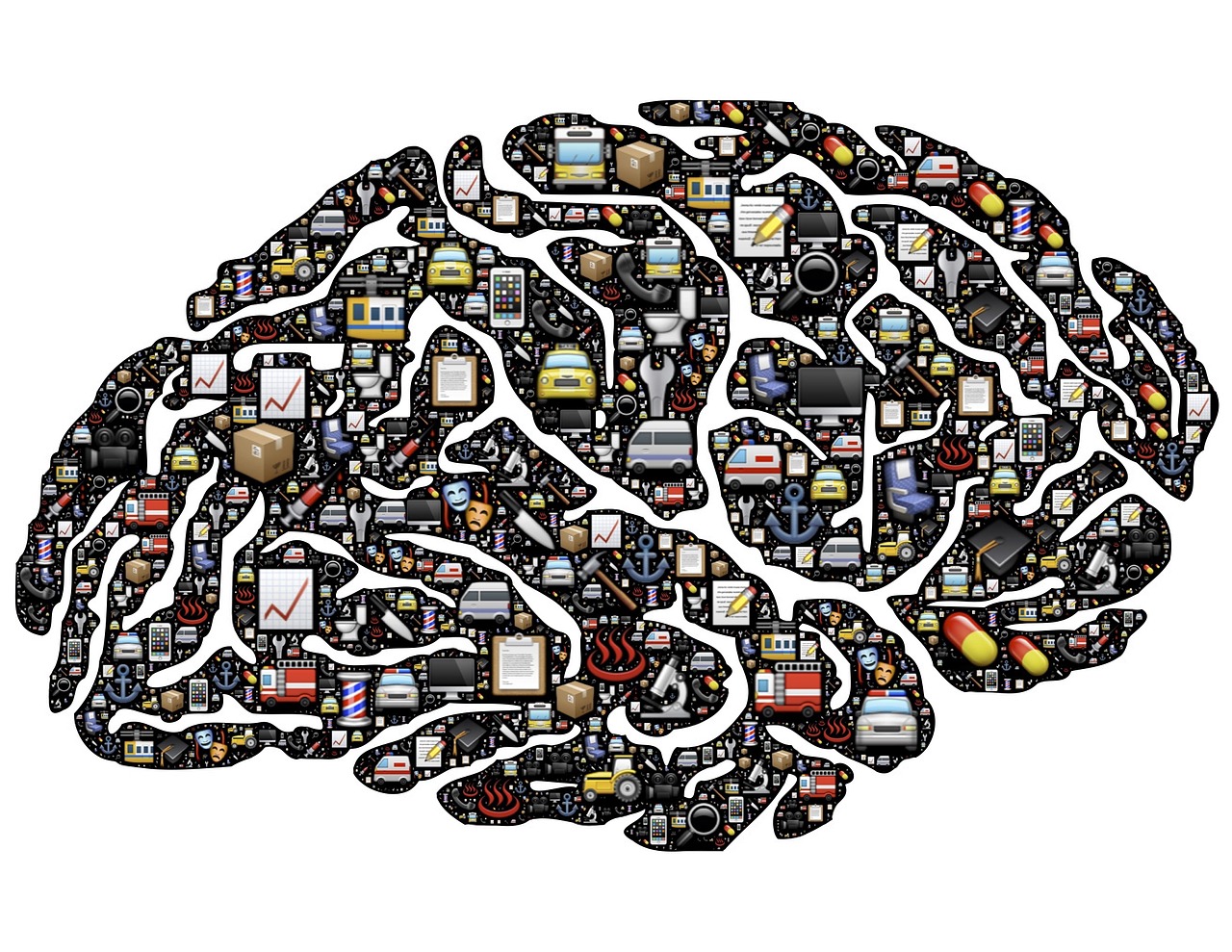 COGNITION