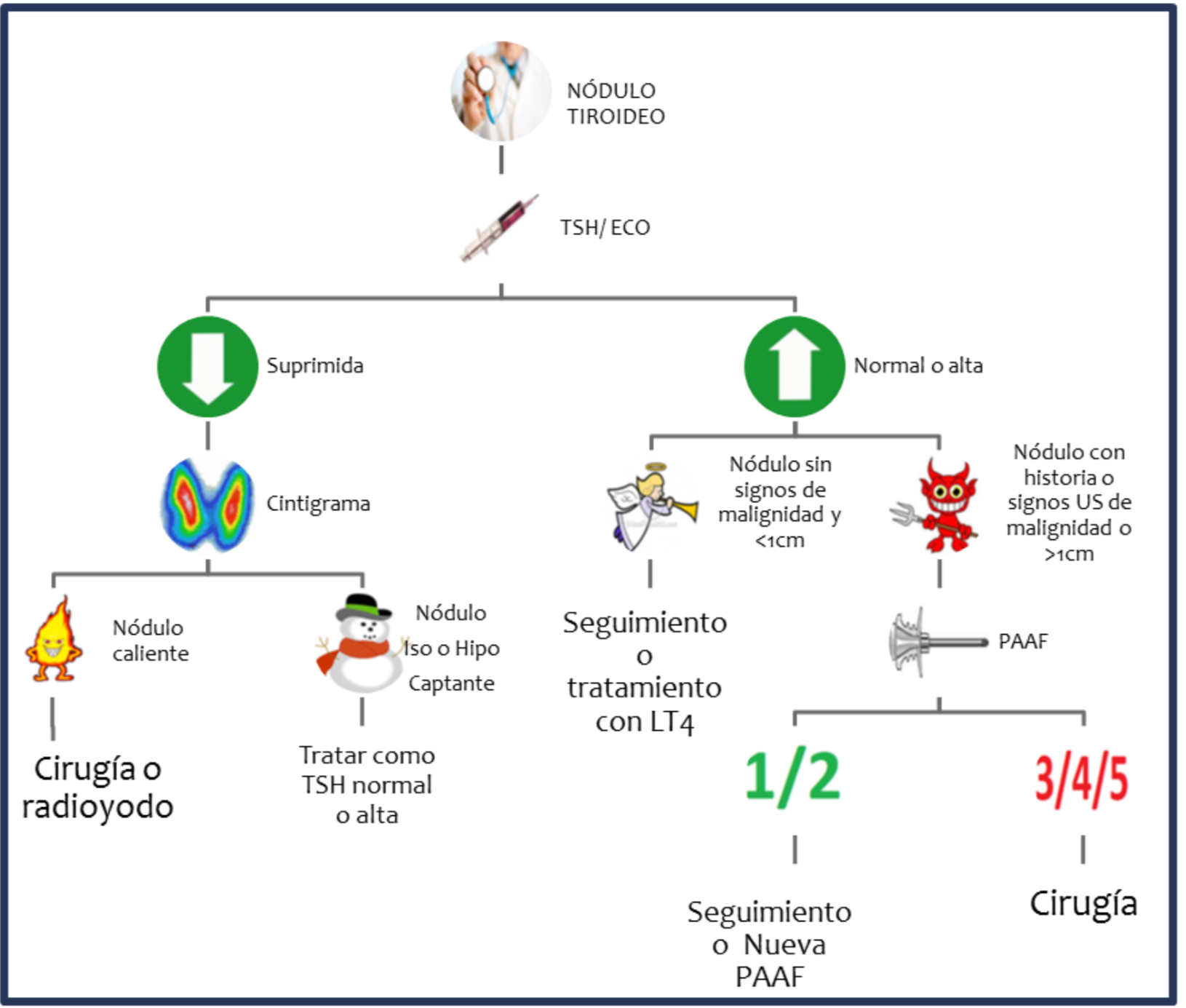 Algoritmo de manejo de 
Nódulo tiroideo
