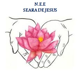 Núcleo Espírita de Evangelização Seara de Jesus