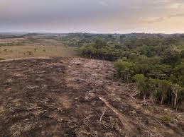 Environmental