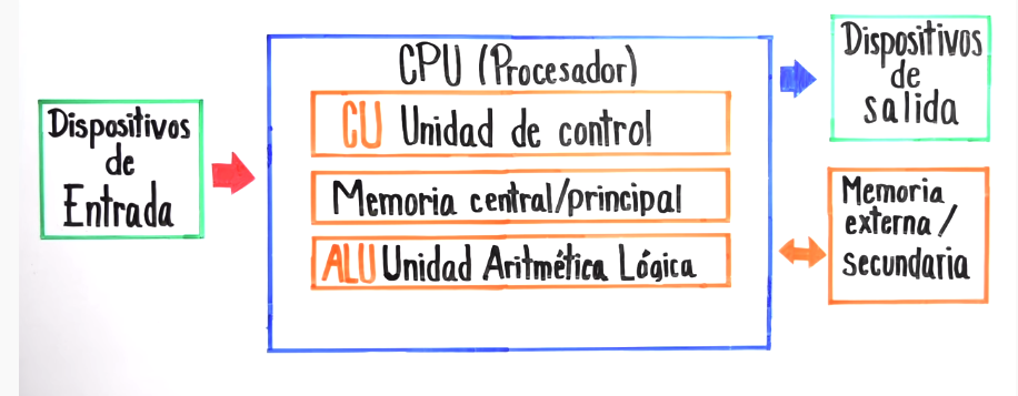 6. Organización Física