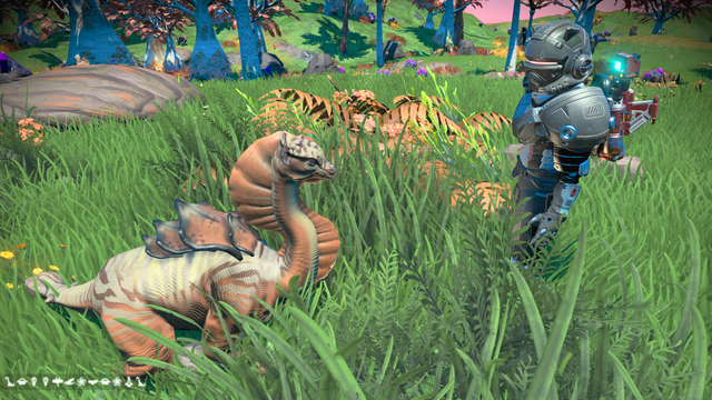 small diplo