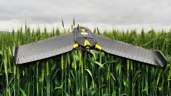 agriculture