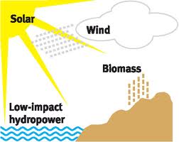 biomass