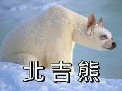 白洞
