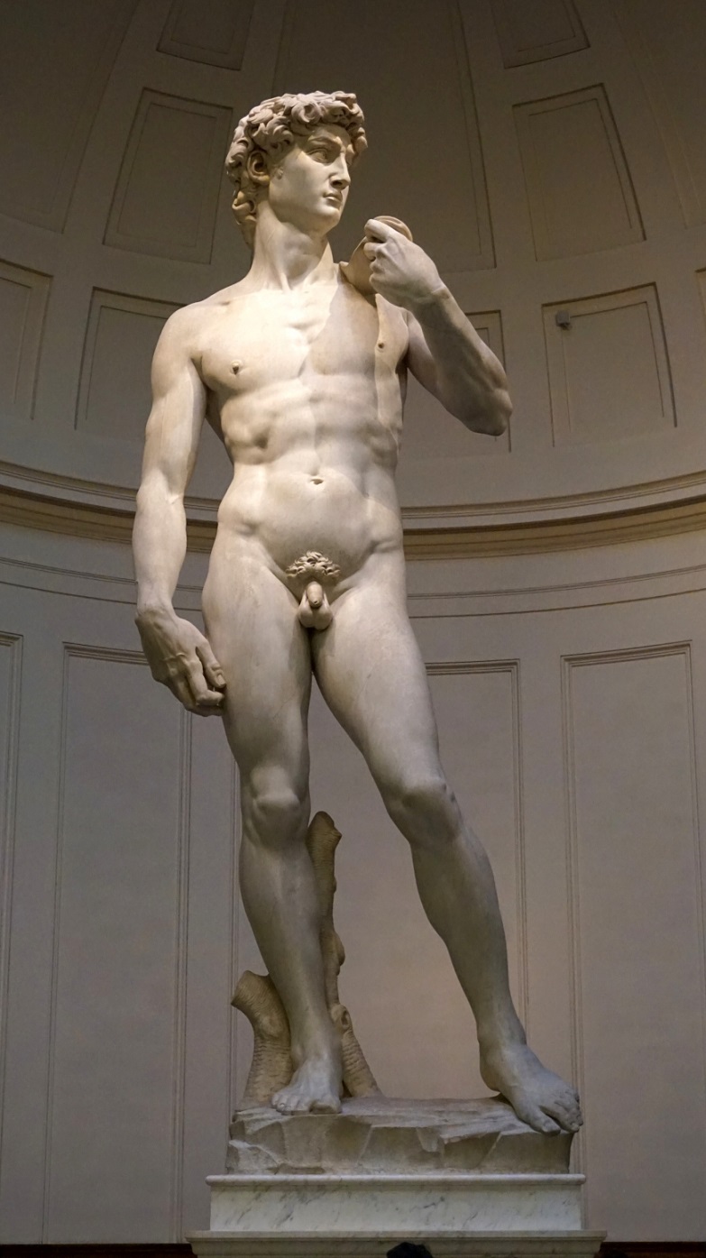 IL DAVID